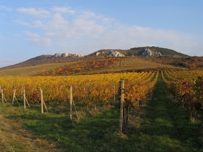 The Pavlov Hills in the autumn sun